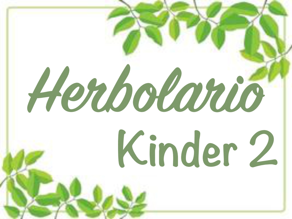 Herbolario Kinder 2